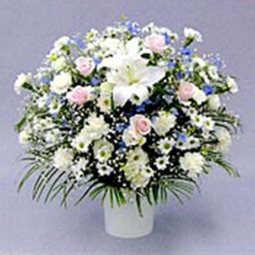 洋花2